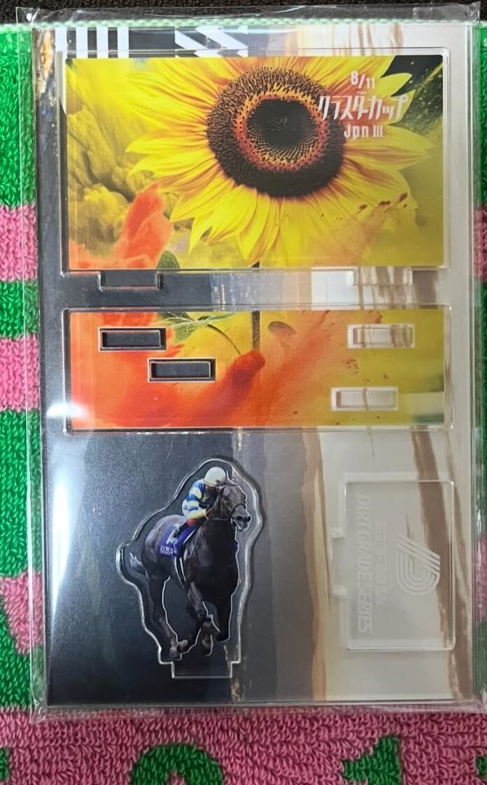 不来方賞 クラスターカップ サンライズジパング ドンフランキー