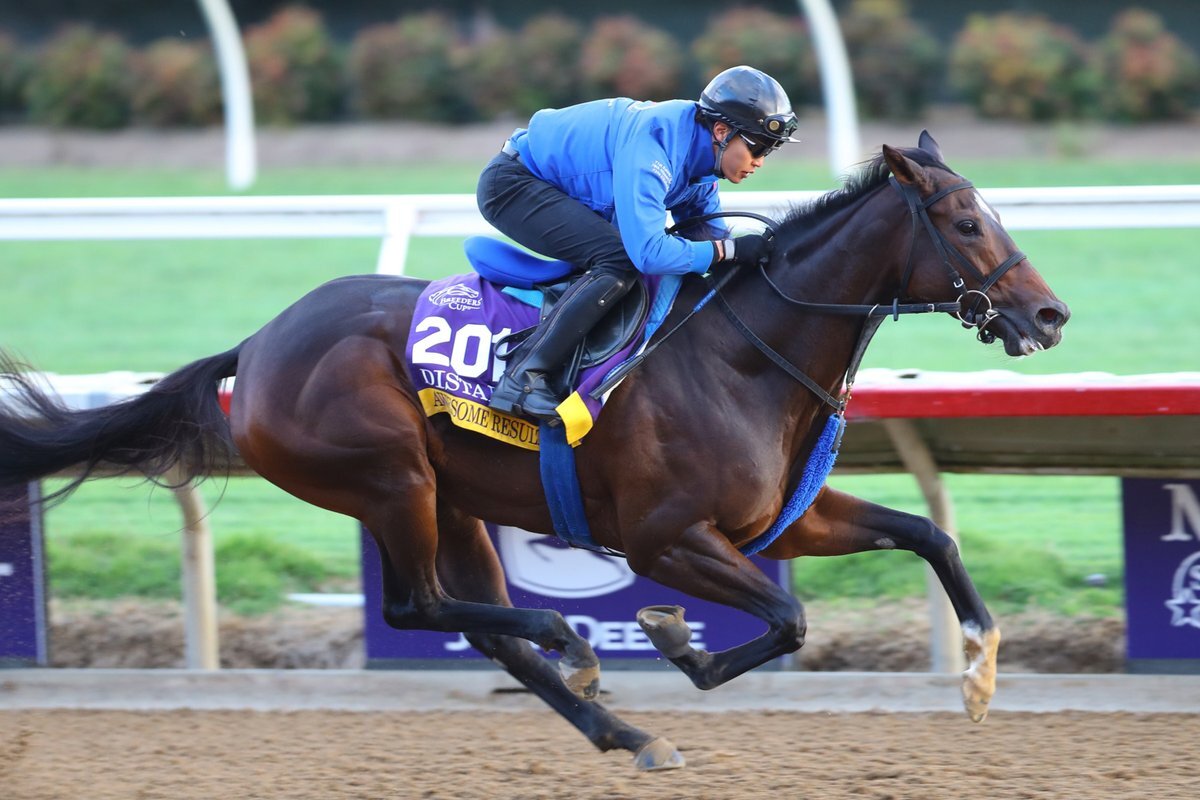 JBCレディスクラシック、注目馬は誰？