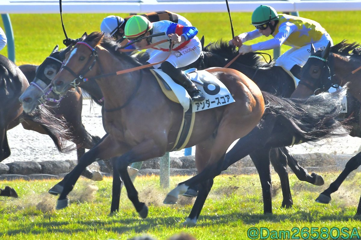 アンダースコアが穴馬で勝利！