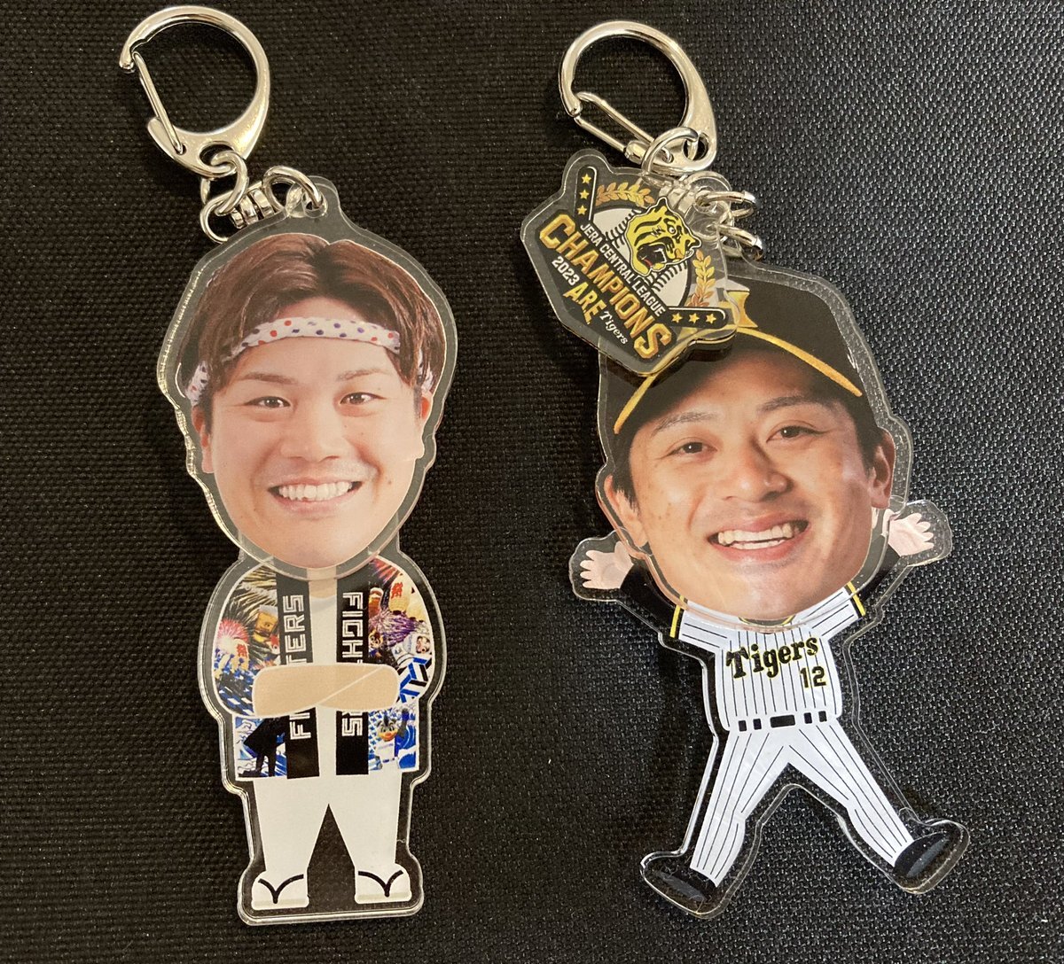 伏見寅威選手、阪神へ移籍！新バッテリーに期待