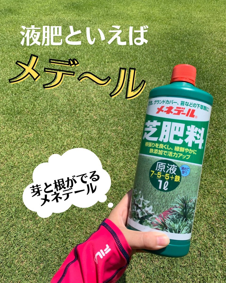 ガーデンガーデン のtwitter検索結果 Yahoo リアルタイム検索