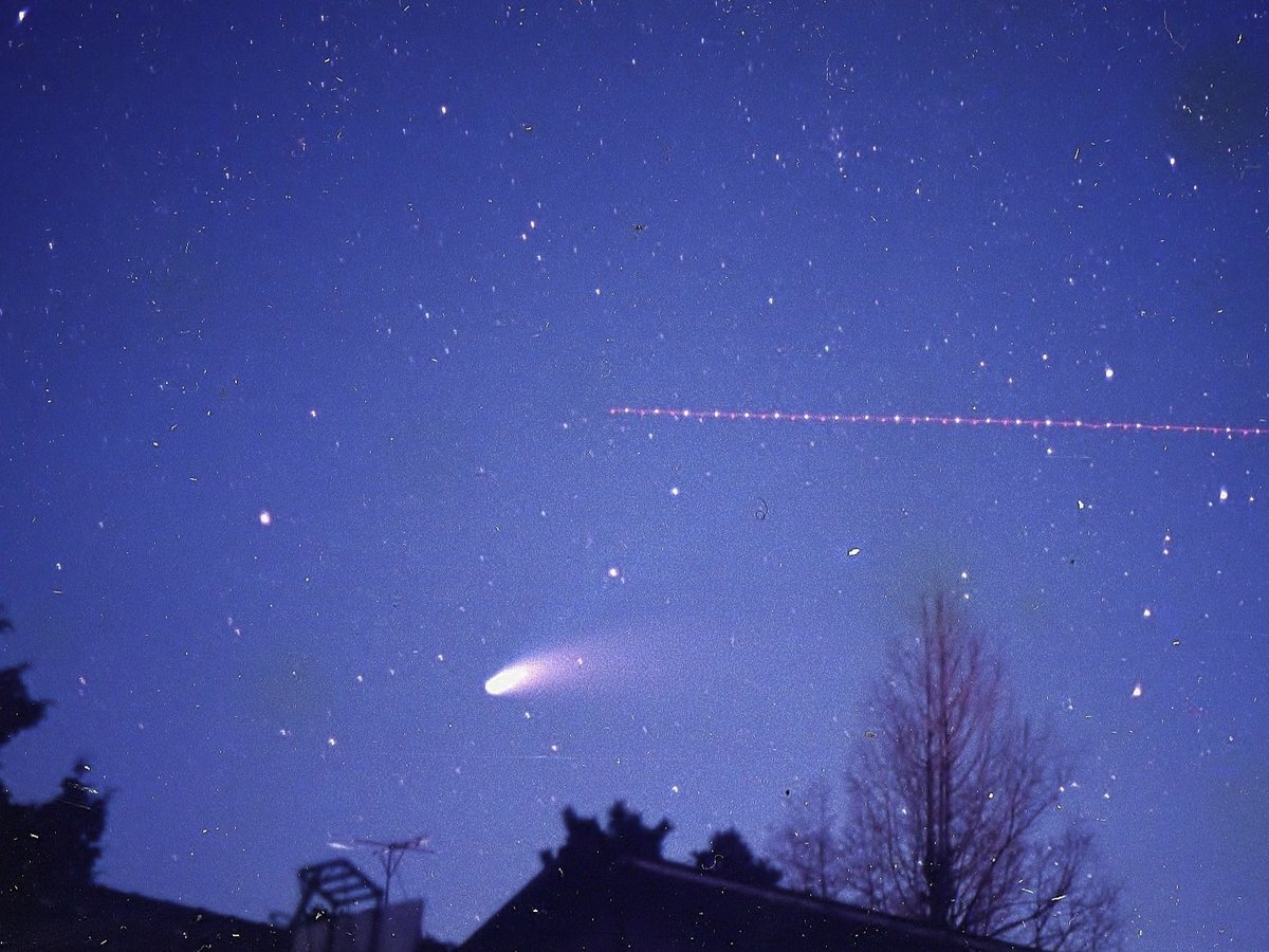 堀内恒夫 3打席連続」のYahoo!リアルタイム検索 - X（旧Twitter）を