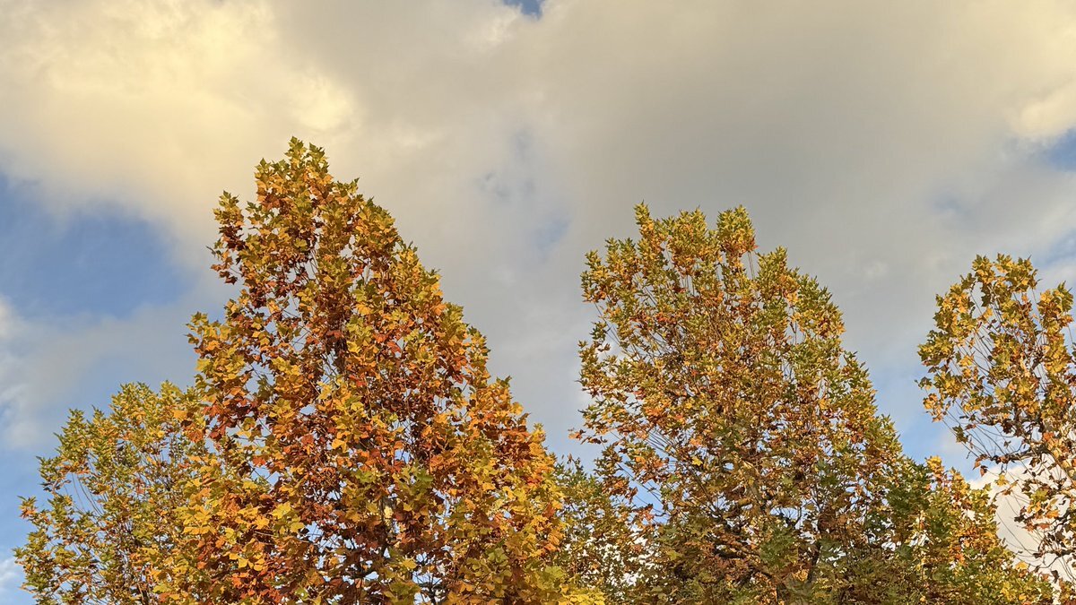 FMヨコハマ「ちょうどいいラジオ」、リスナーはどんな話題を共有？