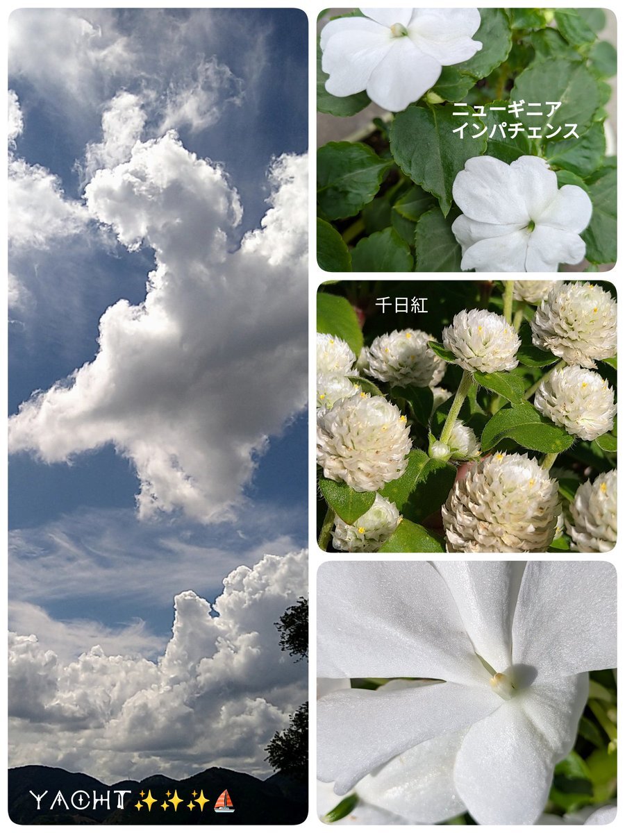 松平健さん誕生日！「暴れん坊将軍」から「マツケンサンバ」まで、多くのファンから祝福の声