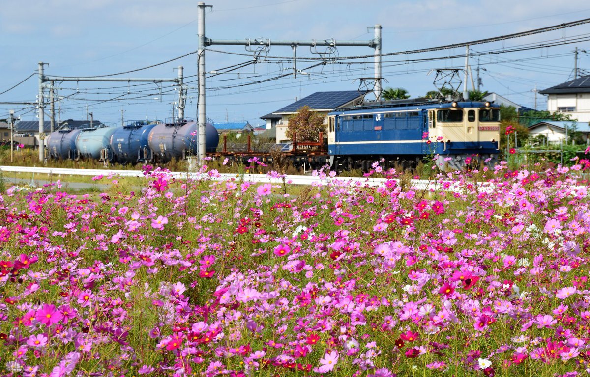 まあ オーバーチュア Overture Amazon | Overture (通常盤