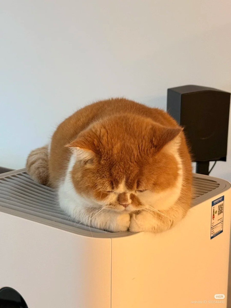 金曜日！週末への期待と疲れをSNSで表現