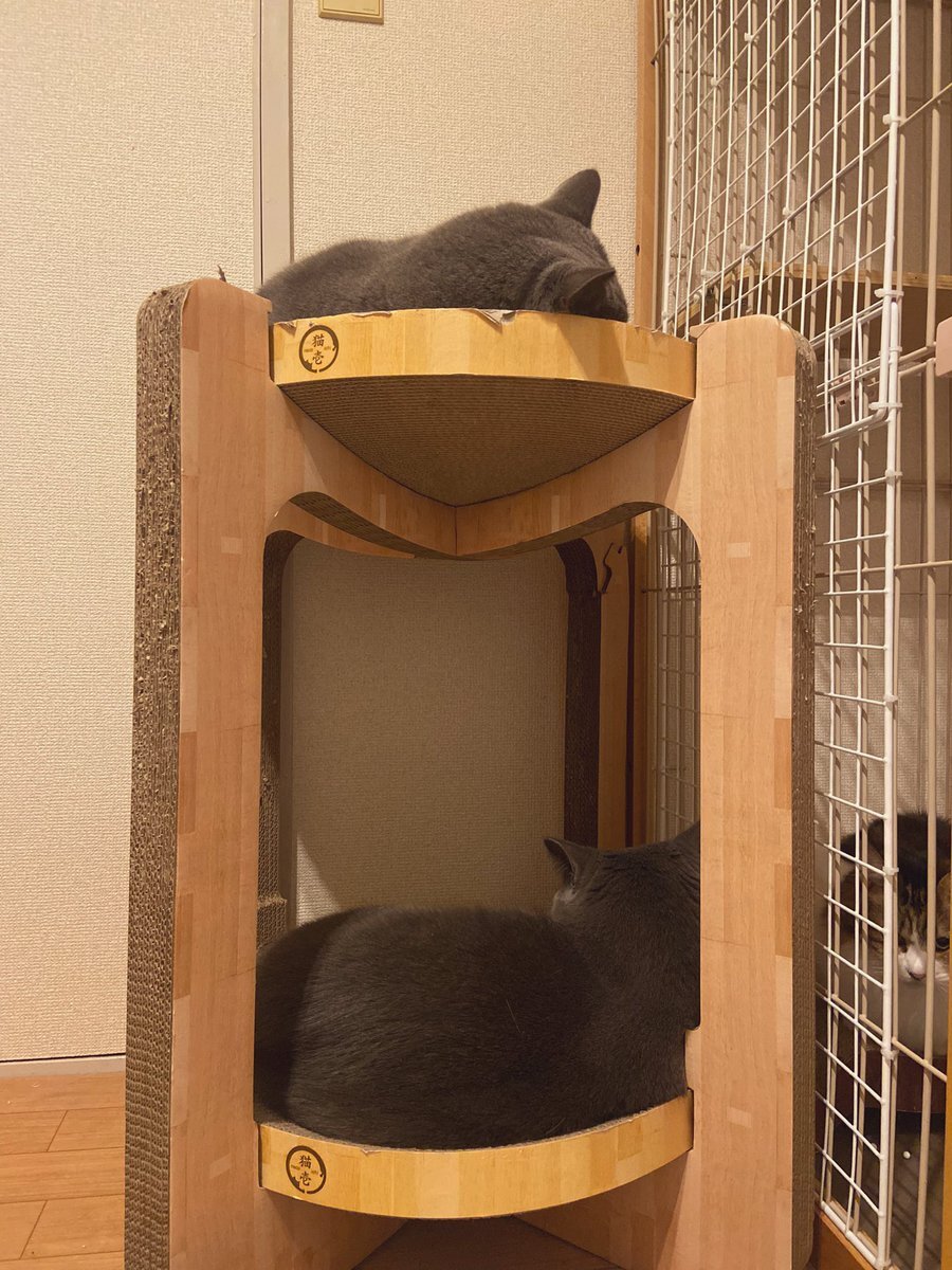 エバース、M-1で「ガチでエグいぞ」と話題に