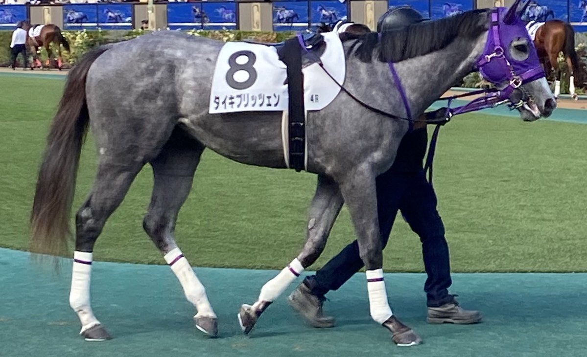 タイキブリッツェンの新馬戦は2着！