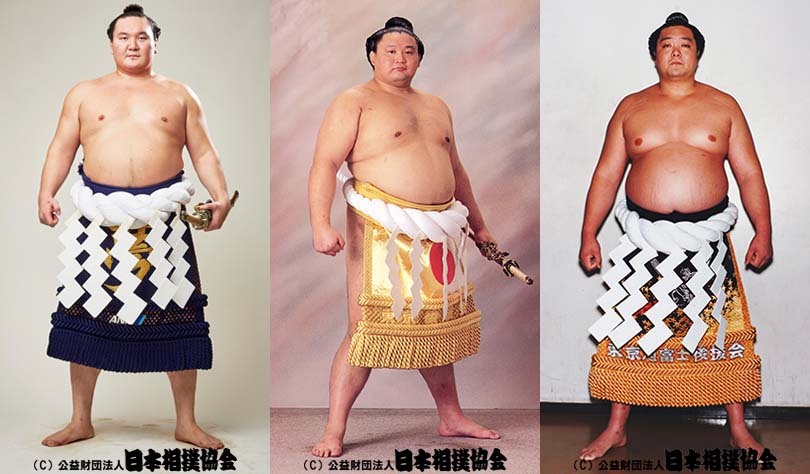 横綱 貴乃花 オレンジカード 横綱 貴乃花 オレンジカード 横綱 貴乃花 オレンジカード 2025年