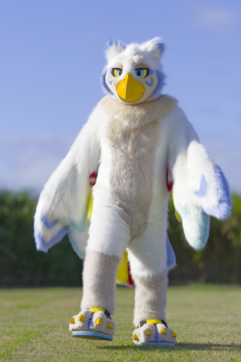 「えっほえっほ」流行語大賞に選出！SNSでは賛否両論