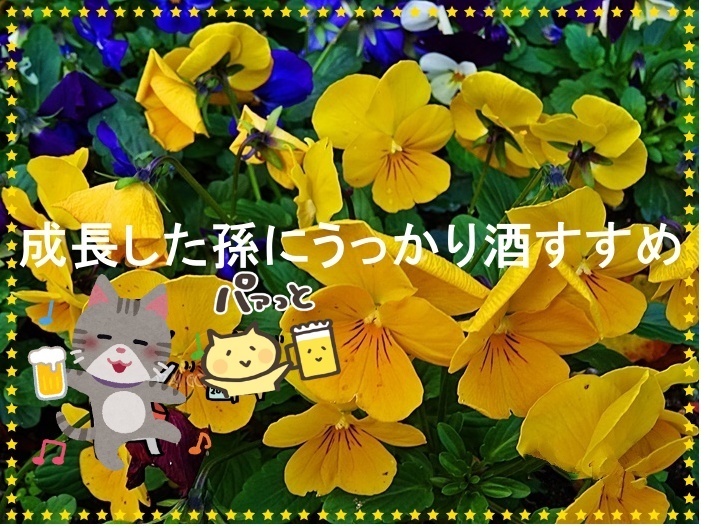 今年の漢字は「熊」 熊の被害が社会に大きな影響