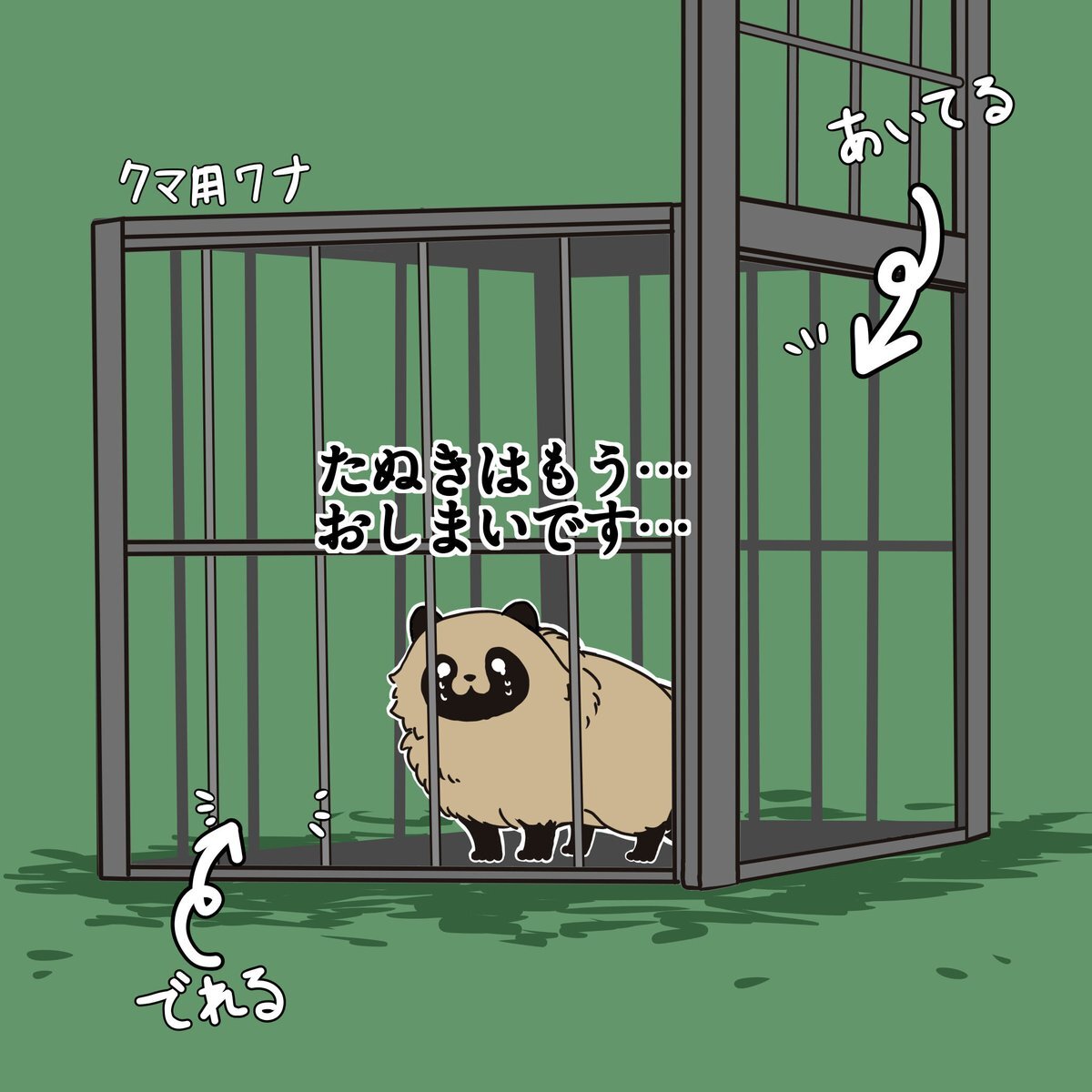 たぬき、SNSで話題に？