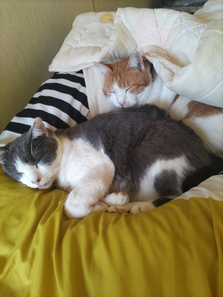 廣中璃梨佳選手、クイーンズ駅伝3区で圧巻の走り！ 