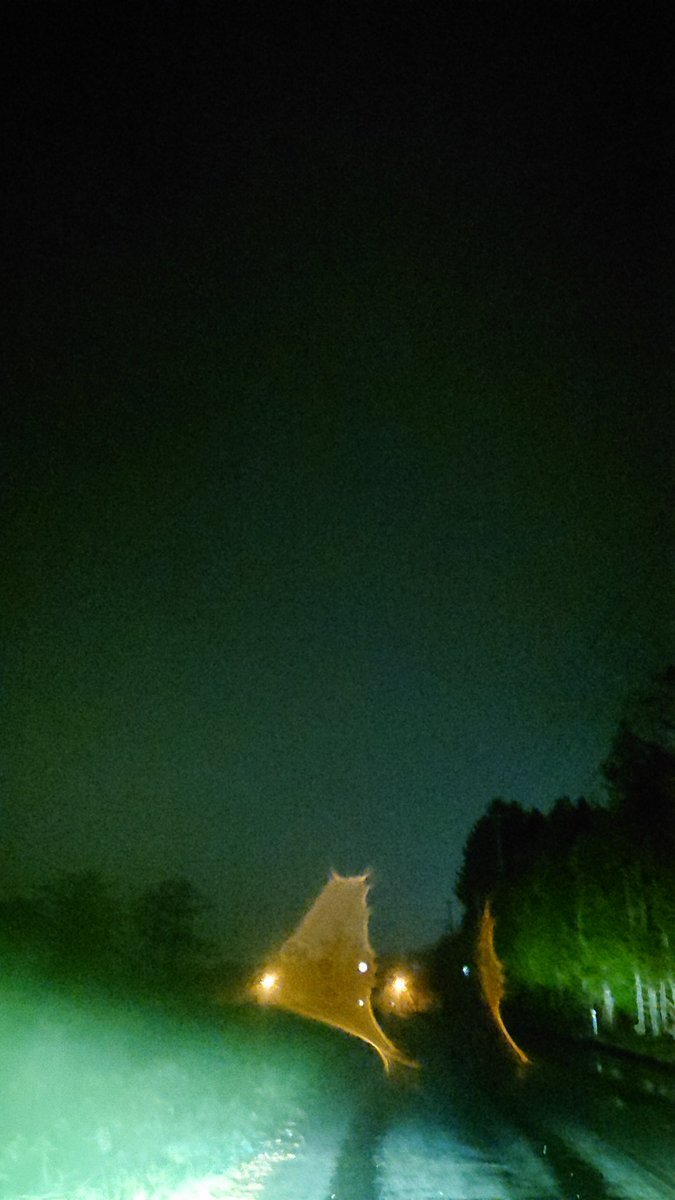 昭和歌謡とテレサ・テンに浸る！ラジオ深夜便リスナーの温かい交流