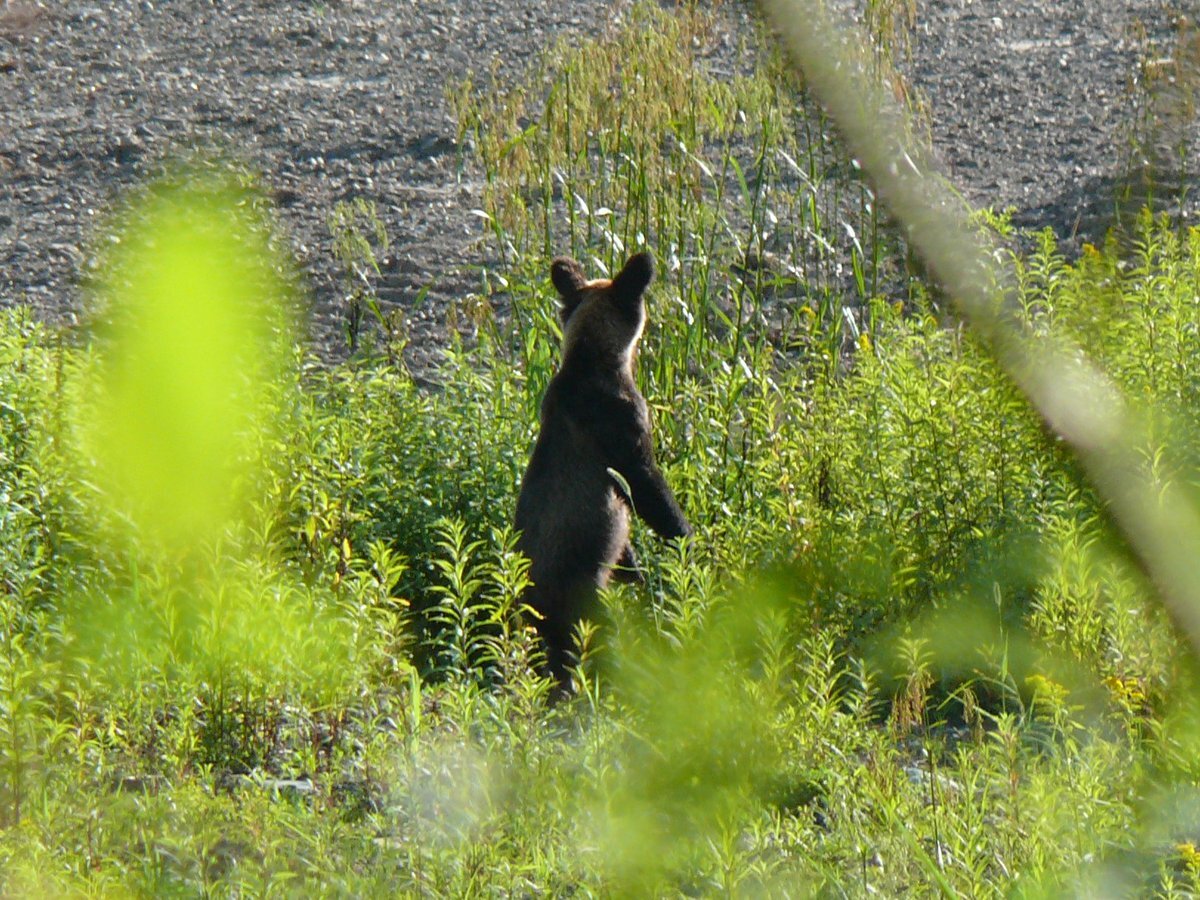 へずまりゅう氏、街中で女性から厳しい言葉