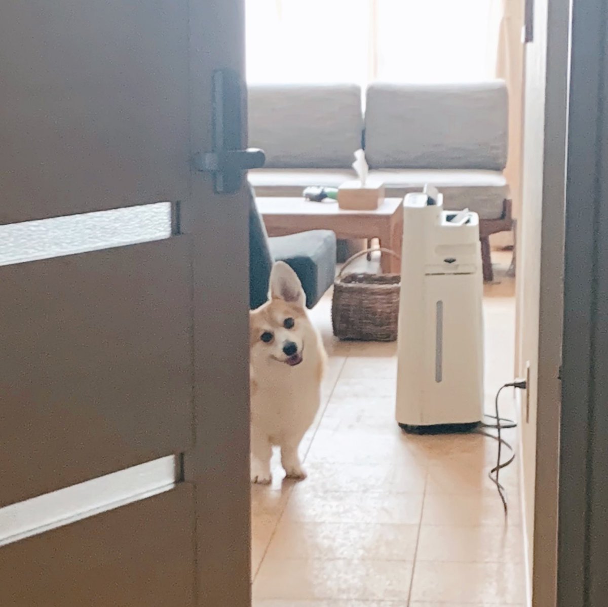 ピックアップ つぶやき