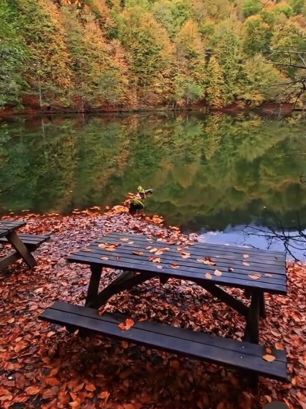 雲仙普賢岳噴火から35年 