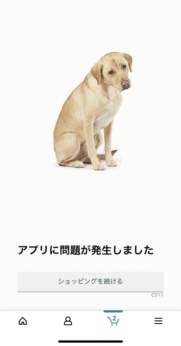 Amazon システム障害との情報 事故 災害 Yahoo リアルタイム検索