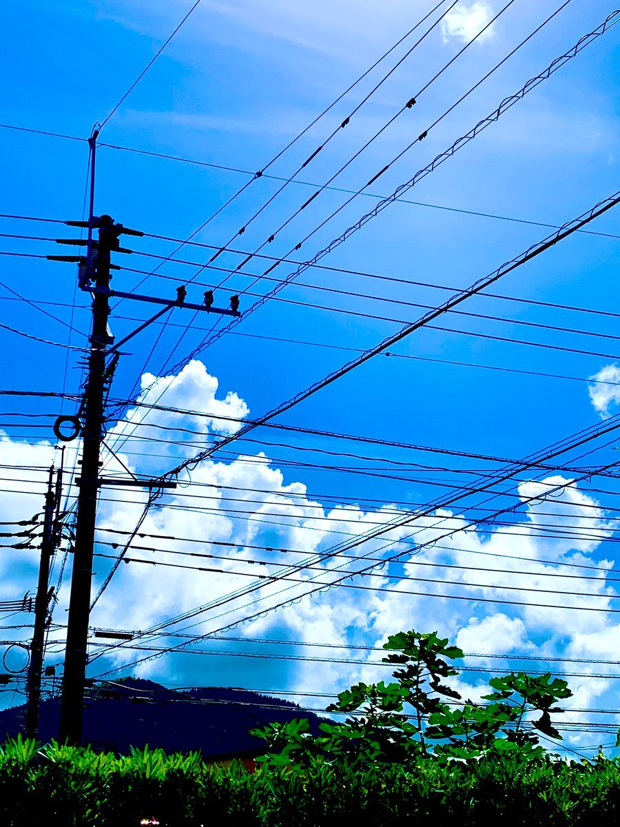 Bluesky のtwitter検索結果 Yahoo リアルタイム検索