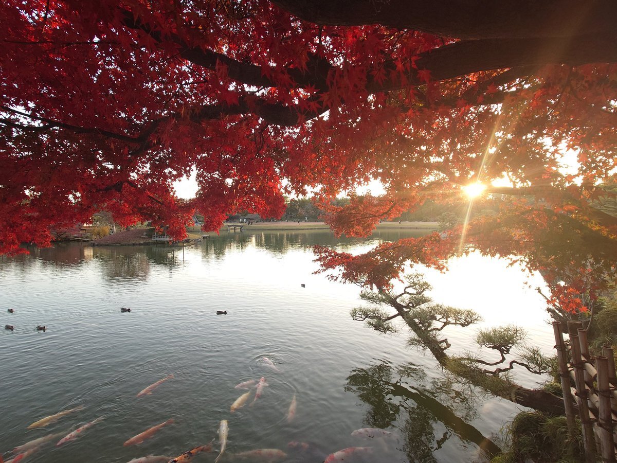 後楽園」のYahoo!リアルタイム検索 - X（旧Twitter）をリアルタイム検索