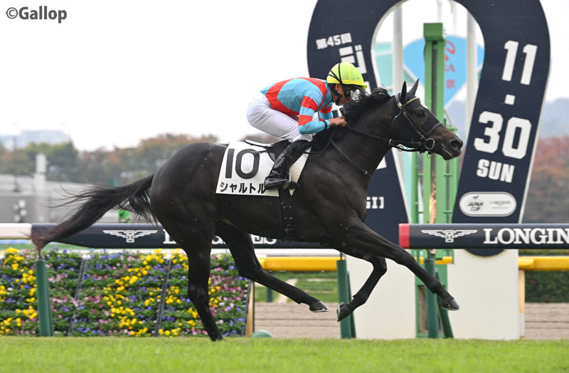 シャルトル、東京競馬で初勝利！ 
