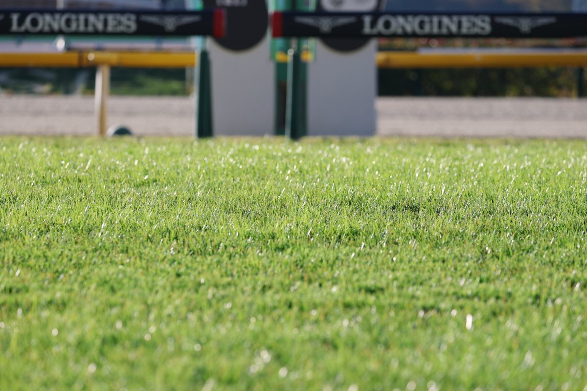ジャパンカップ：クッション値9.3で好条件？馬場状態に注目が集まる