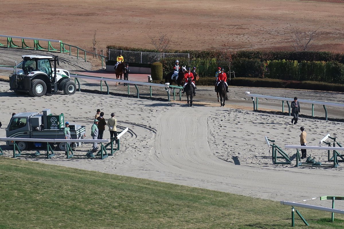 ビジューブリランテ、初障害で2着！ファン期待高まる