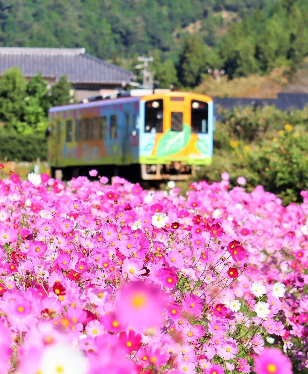 鉄道の日、どんな思い出がある？