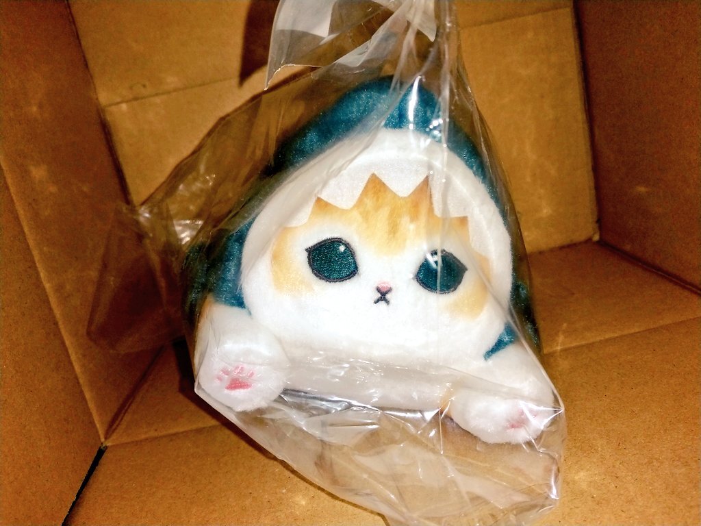 ごろりん！サメにゃんズくじ　A賞1点② サメにゃんズくじ」のYahoo!リアルタイム検索 - X（旧Twitter）を