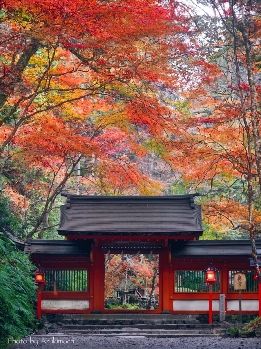 田中圭 line」のYahoo!リアルタイム検索 - X（旧Twitter）を