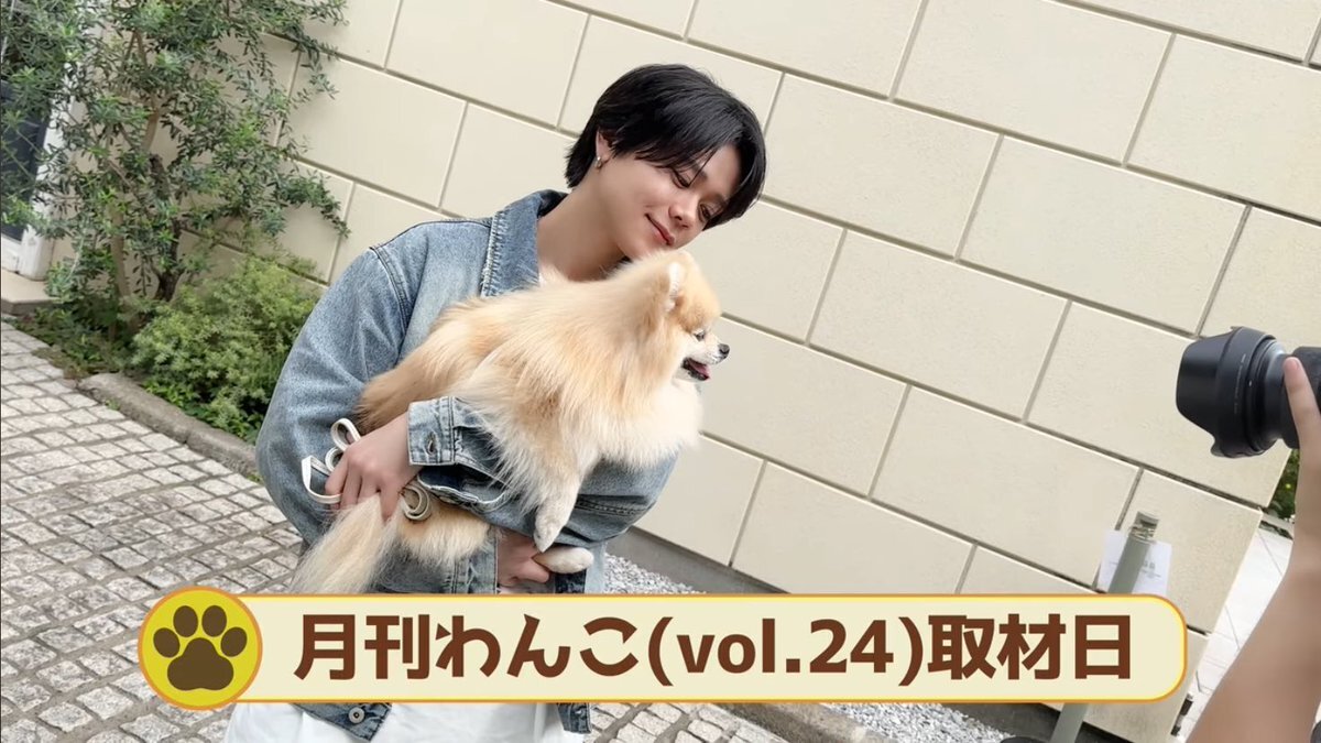 INI藤牧京介、ポメラニアンとの癒やしオフショットにファンメロメロ