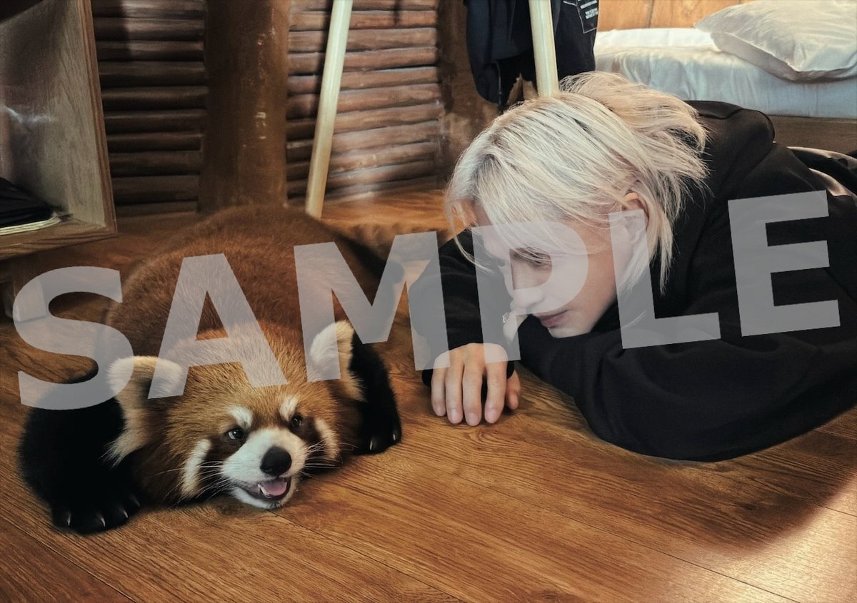 Snow Man、2026年カレンダー発売決定！ファン歓喜の完全撮り下ろし