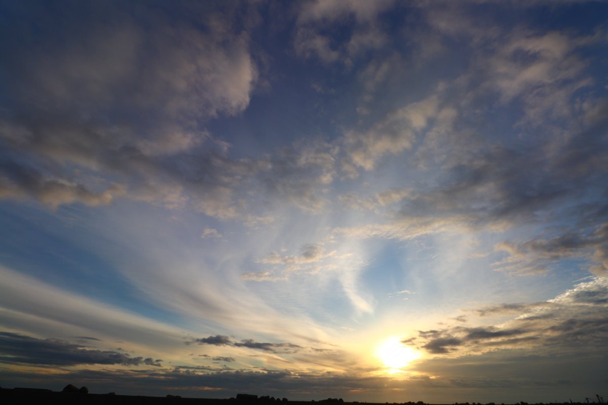 文化勲章授与に批判の声も上がる 文化の日