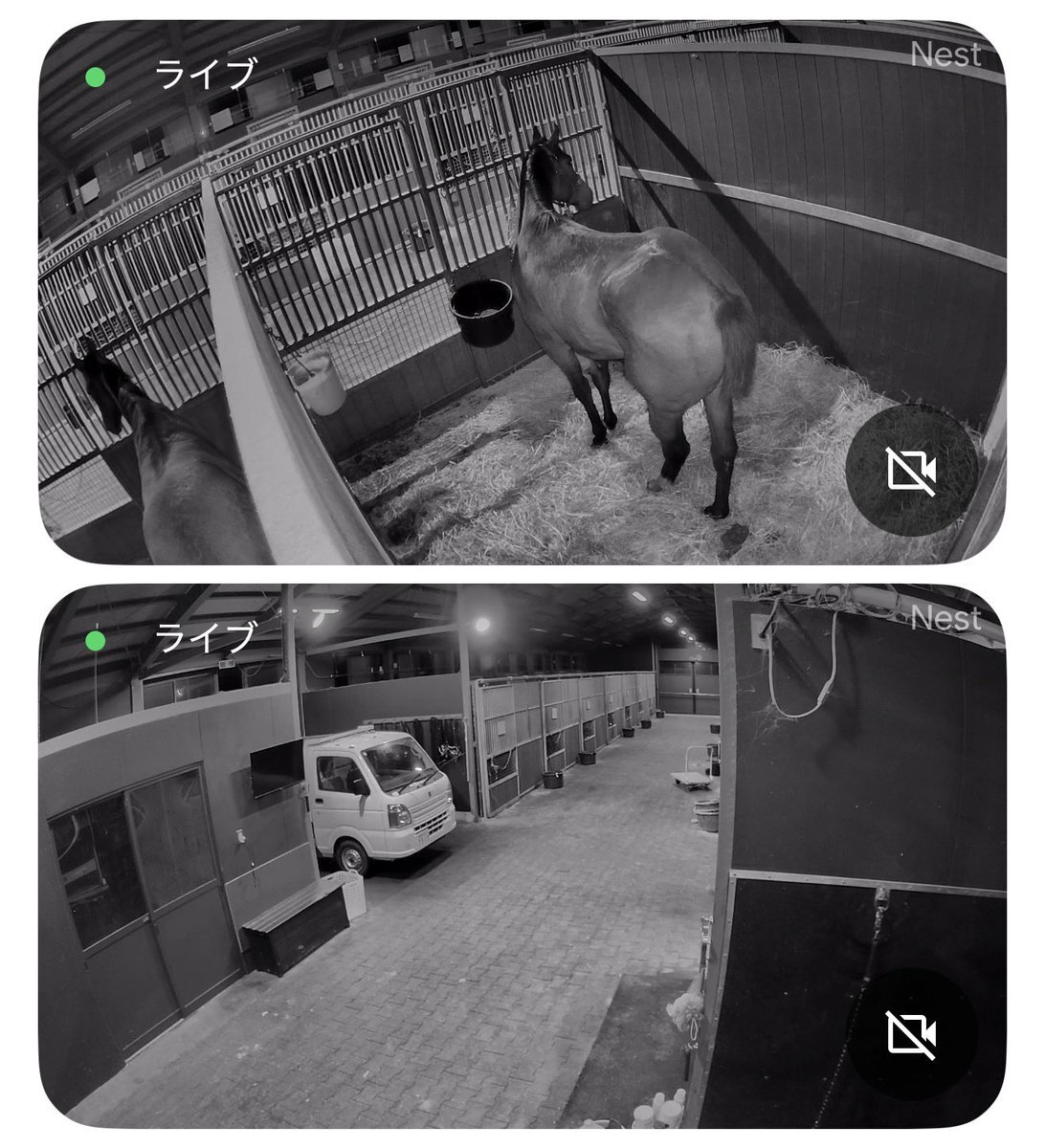 2025年12月地震：SNSユーザーが安否報告、被害状況を共有 