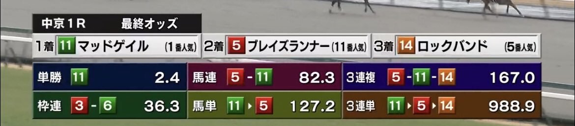 ブレイズランナー、中京1Rで好走！ファン歓喜の2着