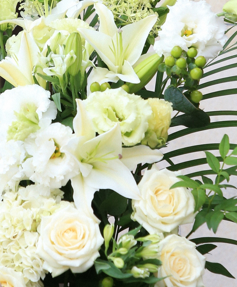 アニメ監督・長峯達也さん死去、ファン悲しむ