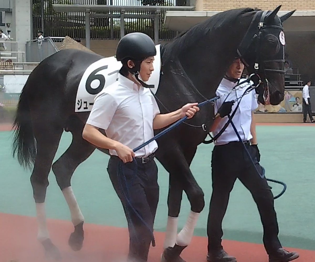 競馬『日本ダービー ショウヘイ ミュージアムマイル』」のX（旧