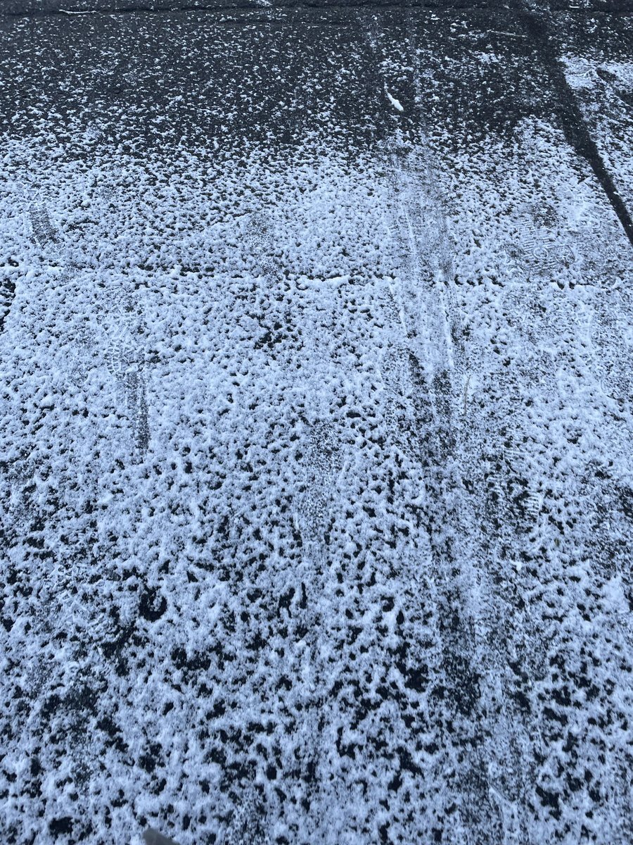 雪の降った地域は？