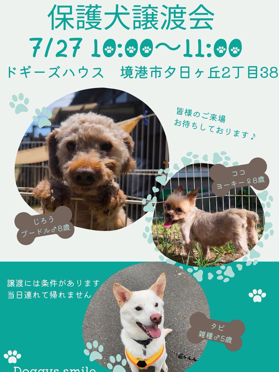 ＊トイプードル＊ページです プードル」のYahoo!リアルタイム検索 - X（旧Twitter）を