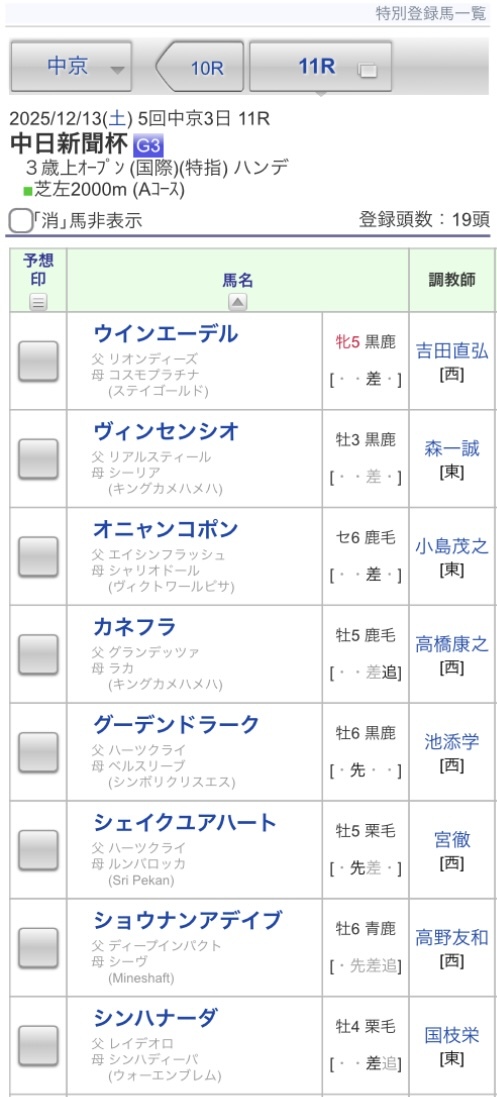 シンハナーダ、中日新聞杯に特別登録！ファン期待高まる