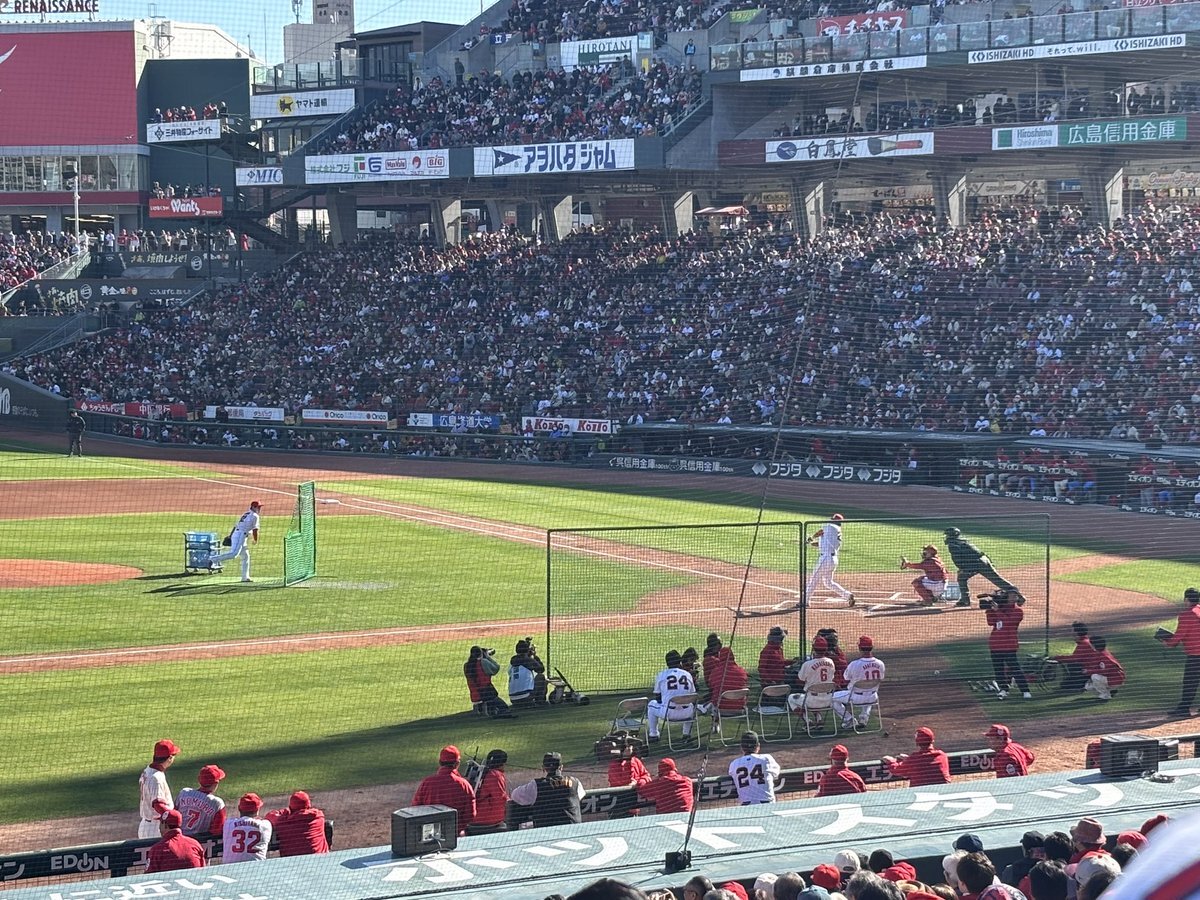 新井監督ホームラン！金本さんコーチ就任なるか？ファン歓喜