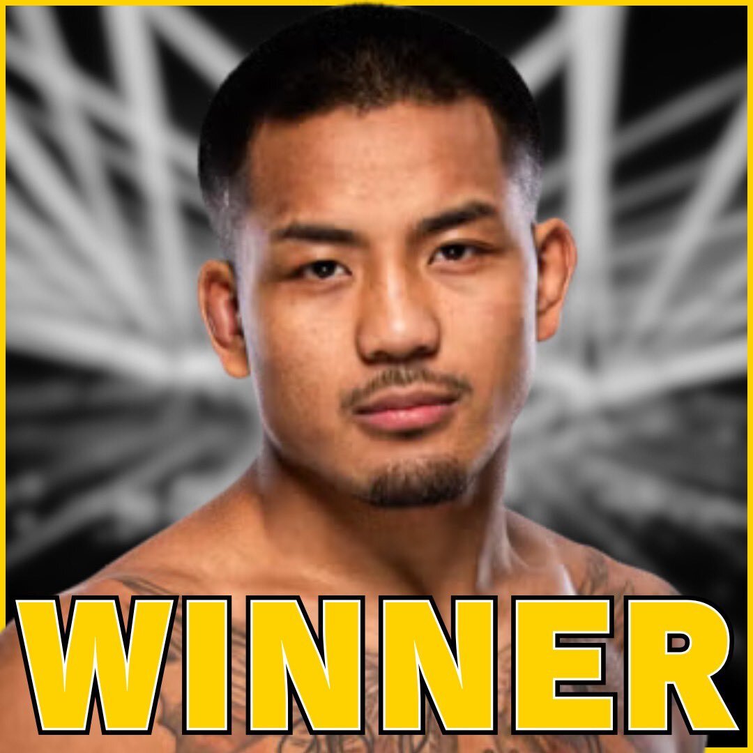 パントージャ負傷で衝撃！ヴァンがUFCフライ級新王者に輝く