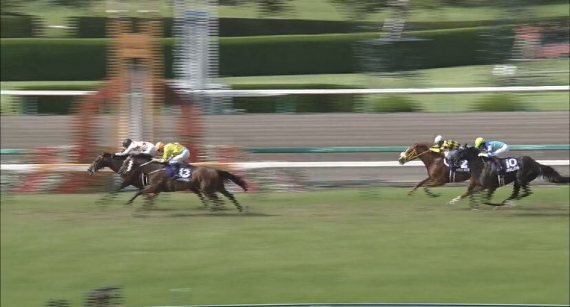 和田竜二騎手、調教師試験合格！ミッキーロケットとの宝塚記念勝利をファンに思い起こさせる