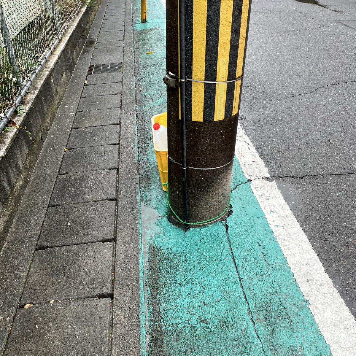 自転車レーン整備、安全確保への課題