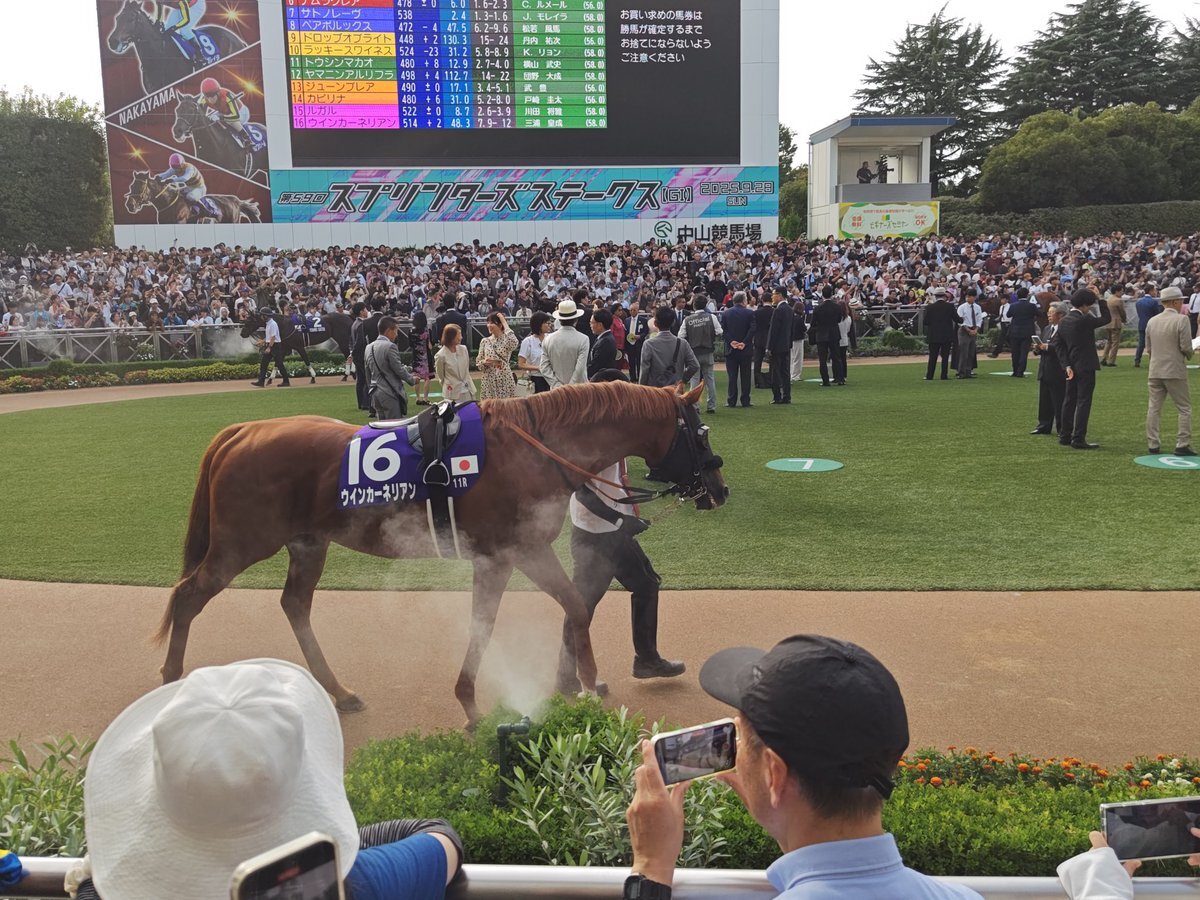 「ザ・ロイヤルファミリー」の舞台は中山競馬場？
