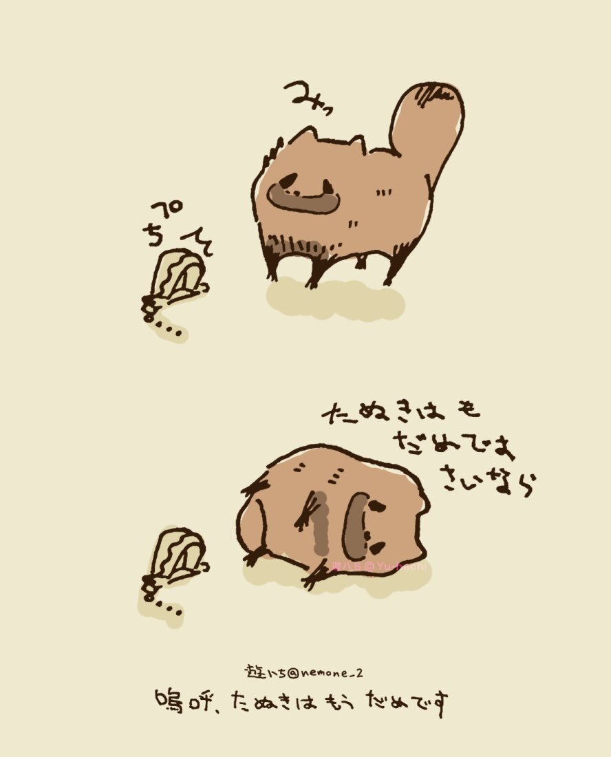 タヌキの行動がSNSを和ませている