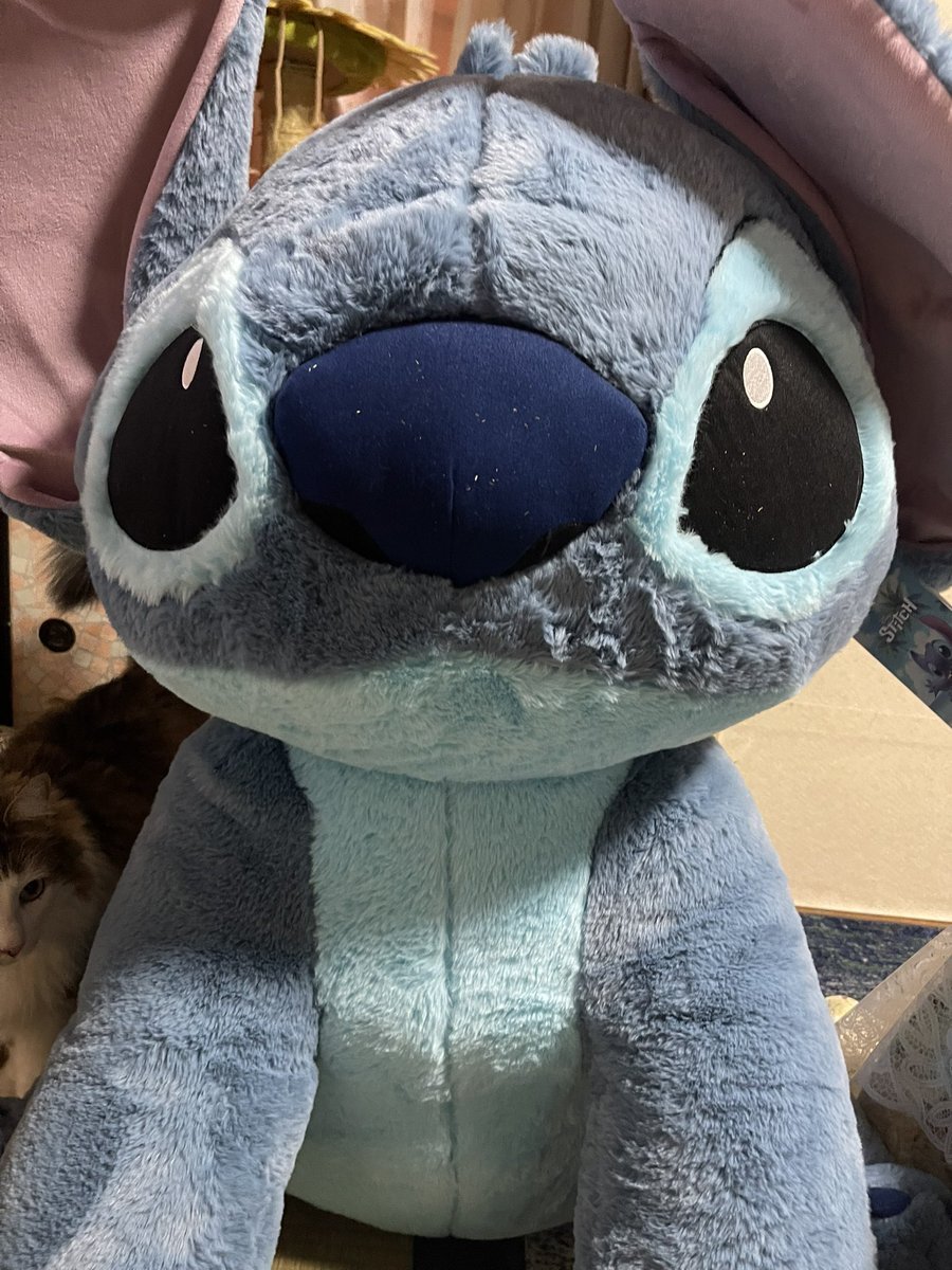 コストコ スティッチ⚠️確認必須⚠️ コストコ スティッチ⚠️確認必須⚠️ コストコ スティッチ⚠️確認