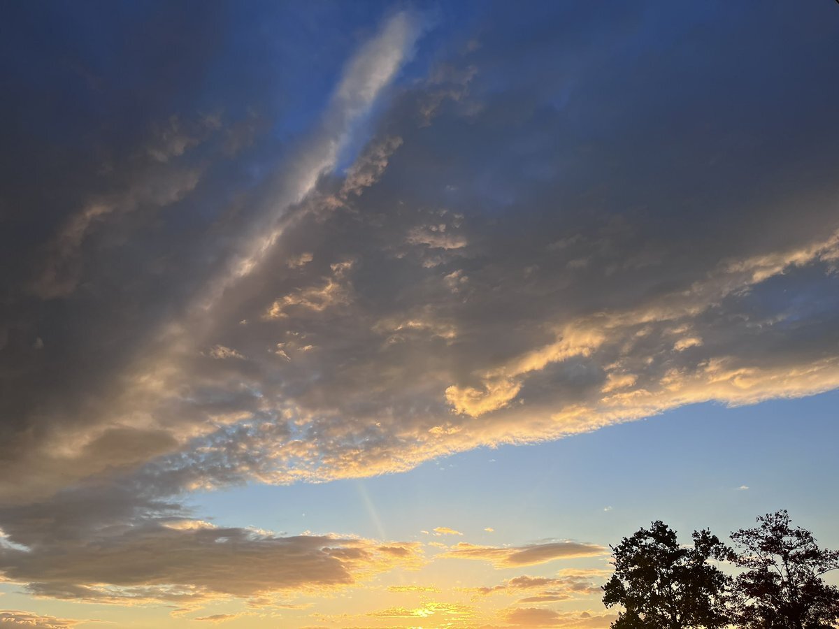 群馬マラソン、SNSで熱い声援が！