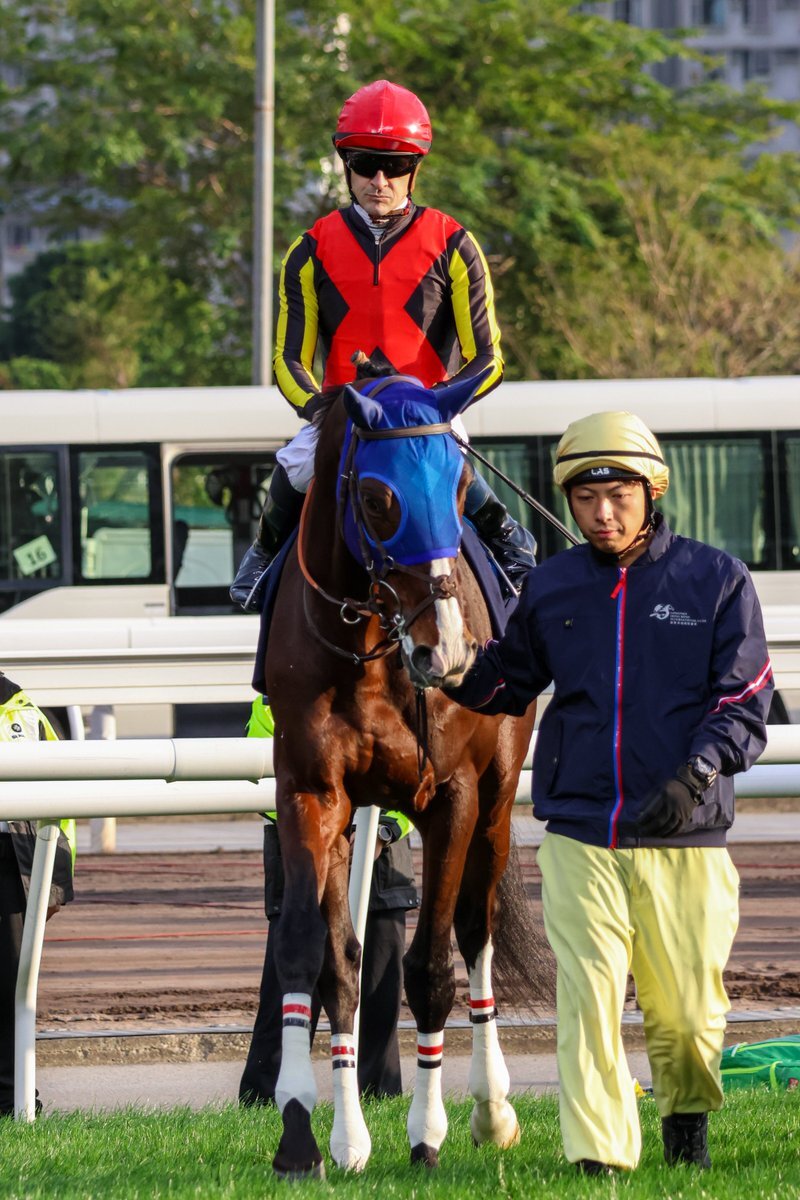 ルメール騎手アーバンシック、香港ヴァーズで惜敗