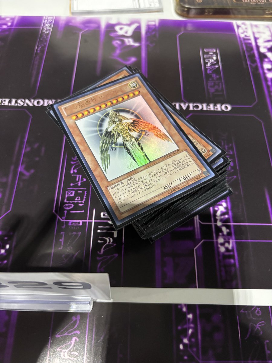 ホルアクティがYCSJで優勝？